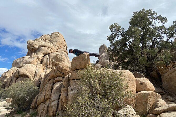 CreativeSoul ScavengerHunt(Hidden Valley,Joshua Tree)Remote Host - The Itinerary Breakdown