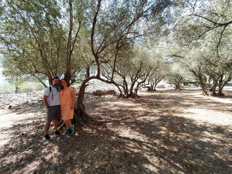 Cres: Olive Oil Walking Tour with Tastings - Who Is It For?