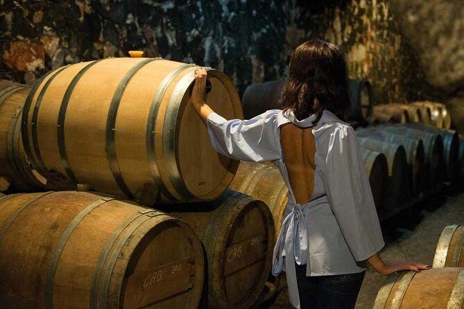 Cretan Delights - Wine, Olive Oil & Cooking Workshop from Chania - Key Points