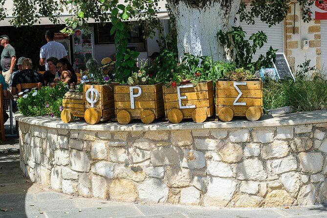 Cretan Delights - Wine, Olive Oil & Cooking Workshop from Chania - Who Is This Tour Best For?