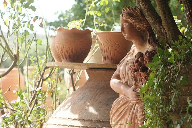 Cretan Wines & Olive oil tour - The treasures of Crete - Who Is This Tour Best For?