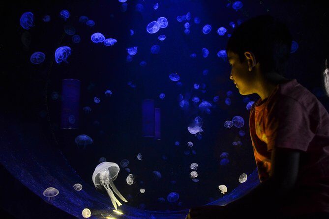 CRETAquarium Entrance Ticket in Crete - FAQ