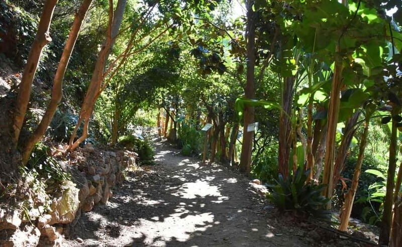 Crete Above the Clouds: Private 4x4 White Mountains Safari - Who Would Love This Tour?