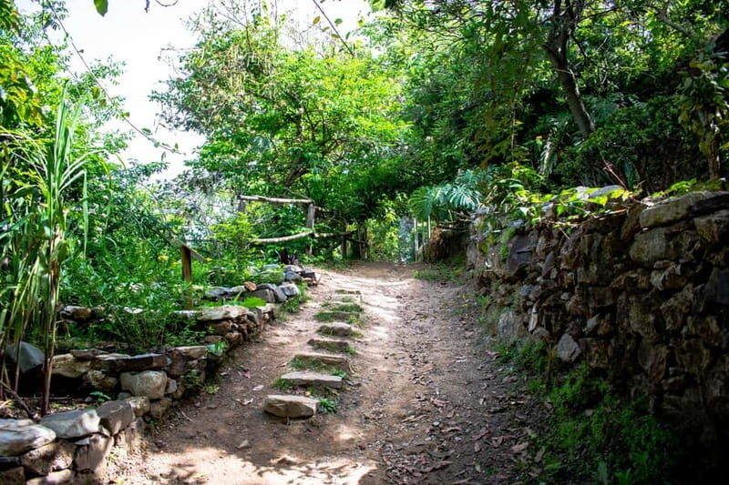 Crete Above the Clouds: Private 4x4 White Mountains Safari - The Sum Up