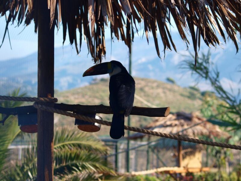 Crete: Agios Nikolaos, Kritsa and Amazonas Park Day Trip - FAQ