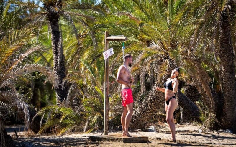 Crete and Heraklion Areas: Direct Day Trip Vai Beach - Who Is This Tour Best For?