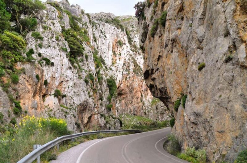 Crete: Eco and Nature Tour from Rethymno - Final Thoughts: Who Should Consider This Tour?