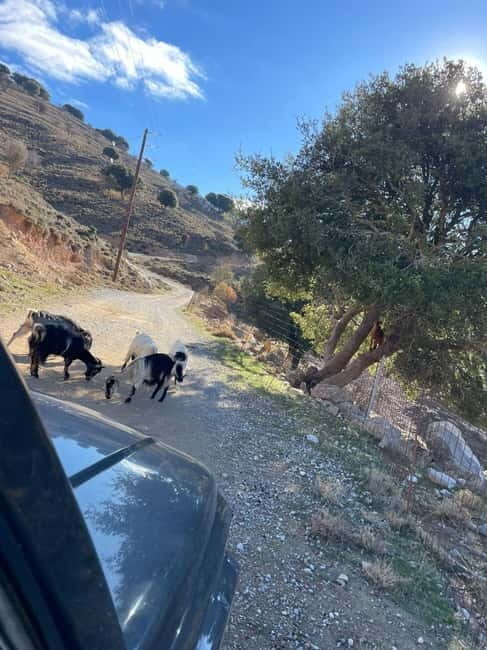 Crete: Explore Lassithi Plateau, Myths & Cretan Cuisine - Who Should Consider This Tour?