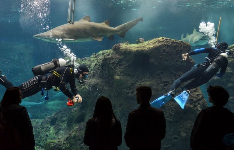 Crete: Heraklion Center, Local Market and Creta Aquarium - A Deep Dive into the Experience