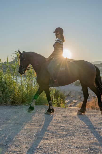 Crete Horse Riding: East Coastline Ride - How Affordable Is It?