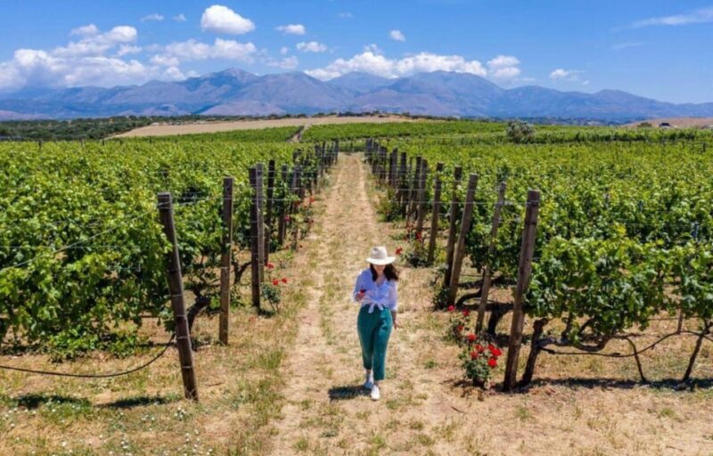 Crete: Knossos Palace and Archanes with Wine Tasting Tour - An Honest Look at the Tour Experience