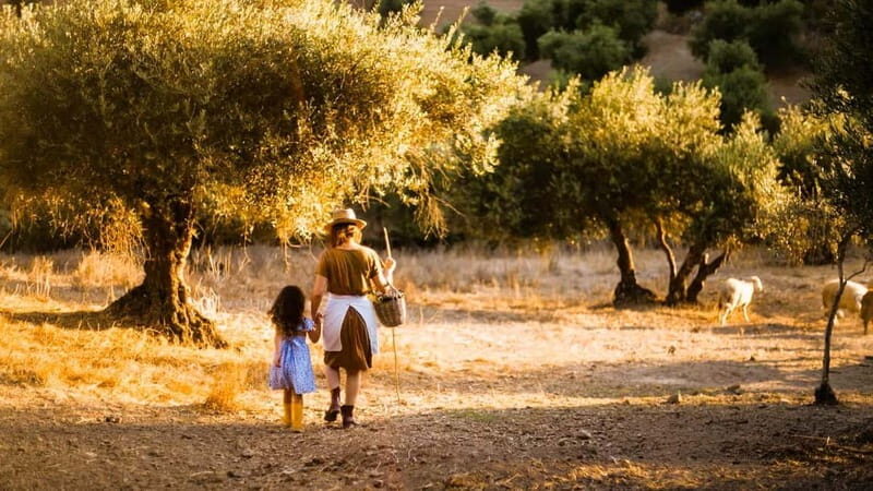 Crete: Knossos Palace, Olive Oil Tasting, and Heraklion Tour - Exploring the Heart of Crete: A Deep Dive into the Tour