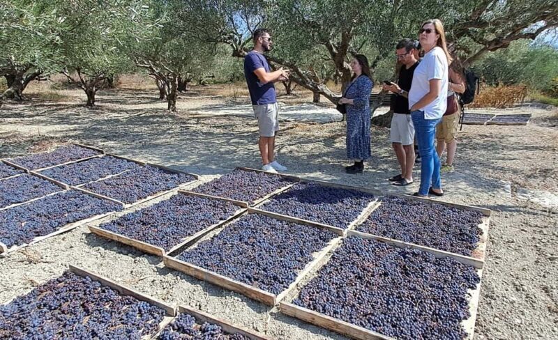 Crete: Knossos Palace, Winery & Olive Oil Tour with Lunch - FAQs