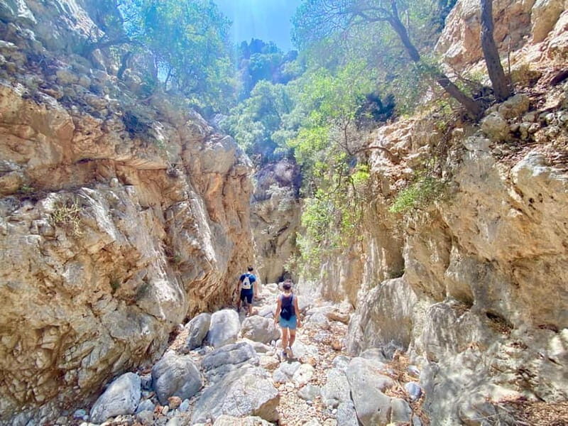 Crete: Kritsa Canyon Guided Hiking Tour - Wrapping It Up