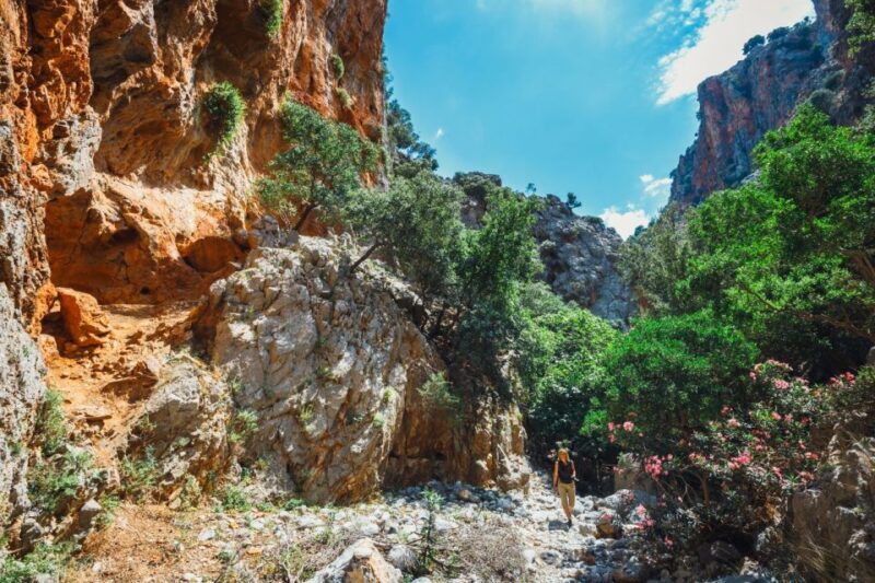 Crete: Kritsa Gorge Hike with Picnic & Swim Stop - Key Points