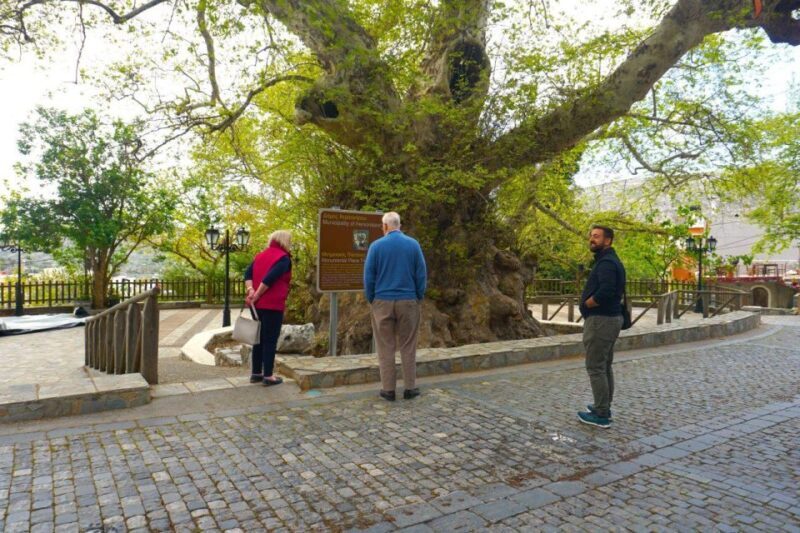 Crete: Lasithi Plateau, Mythologic Park & Villages Tour - Visit to the Monastery