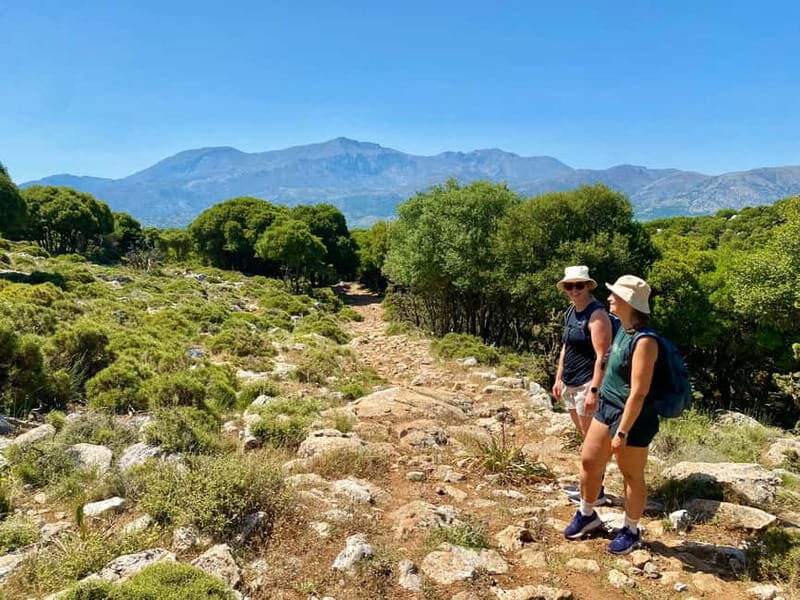 Crete: Lassithi Plateau Guided Hiking Tour - Key Points