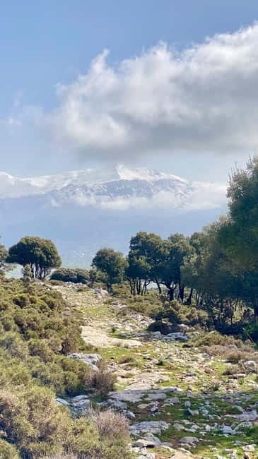 Crete: Lassithi Plateau Guided Hiking Tour - An In-Depth Look at the Lassithi Plateau Hike