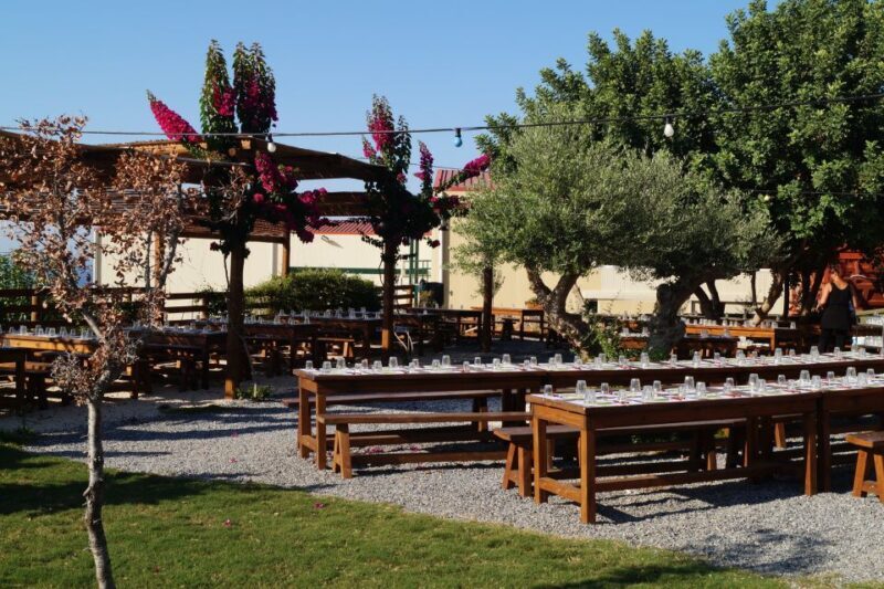 Crete: Olive Oil Factory Tour, Dinner & Traditional Dancing - Who Would Love This Tour?