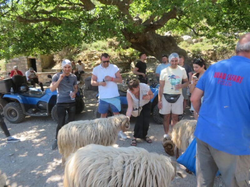 Crete Quad Safari Off-Road,Breathtaking Scenery&Amazing View - FAQ