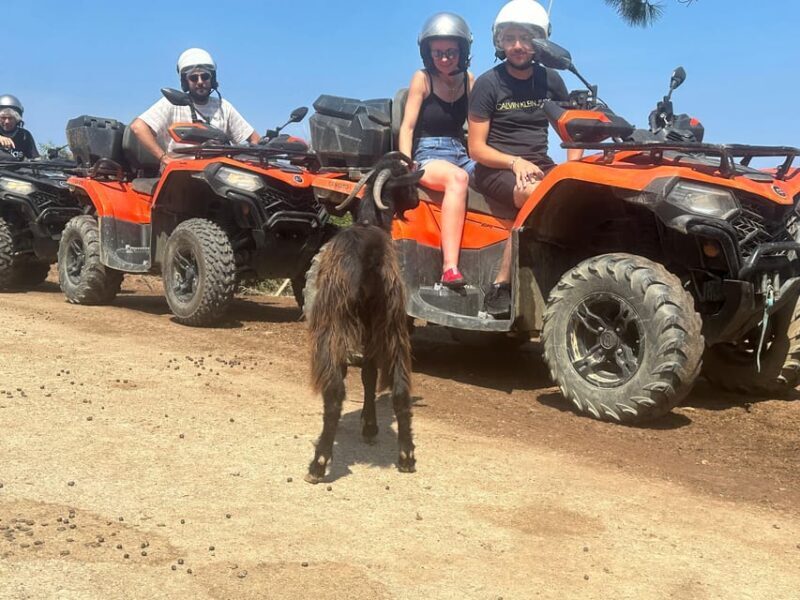 Crete: Quad Safari, Olive Mill with Tasting & Ghost Village - Who Is This Tour Best For?