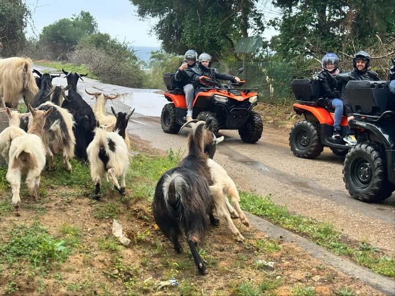 Crete: Quad Safari traditional hidden villages - nature - The Experience in Detail