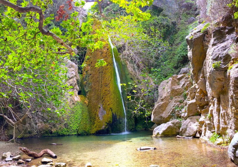Crete: Richtis Gorge & Waterfall Guided Hiking Tour - The Experience: Real Insights from Reviews