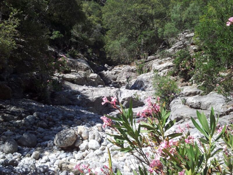 Crete: Richtis Waterfall Full-Day Tour with Olive Tasting - Authentic Opinions from Travelers