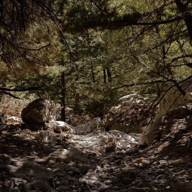 Crete: Samaria Gorge Hike with Agia Roumeli Beach Time - Key Points