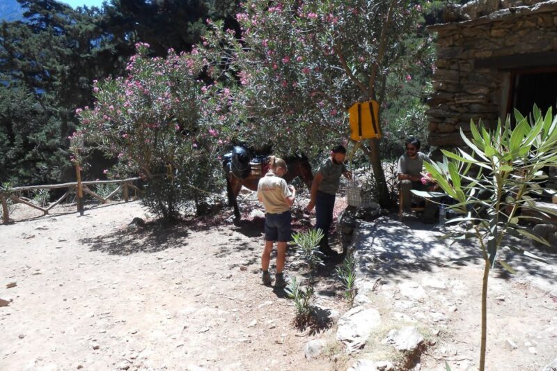 Crete: Samaria Gorge Hiking with transfer and expert Escort - What You Can Expect from the Tour