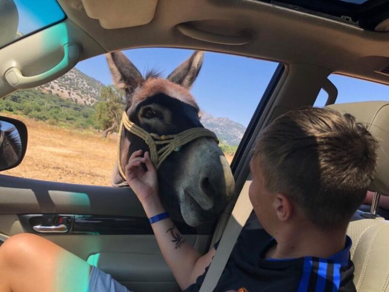 Crete: Sightseeing Day Trip with Cooking Lesson and Lunch - Key Points