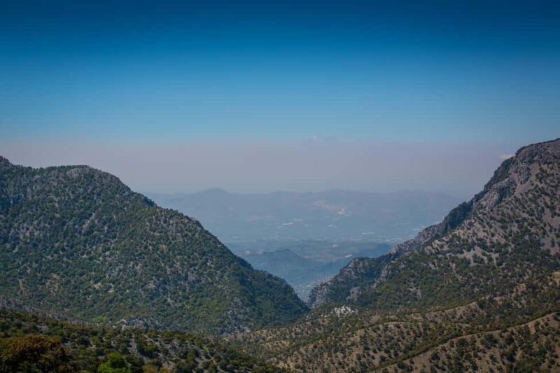 Crete: Truffle Hunting with Dog & Lunch in Rouvas Forest - FAQ