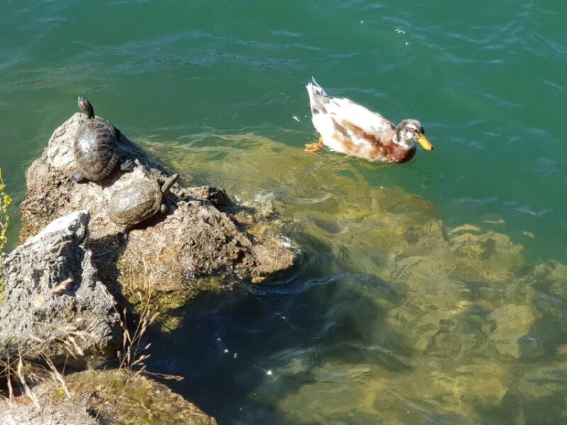 Crete: Trypiti Beach Off-Road South Tour w/ Lunch & Wine - What Do Travelers Love Most?