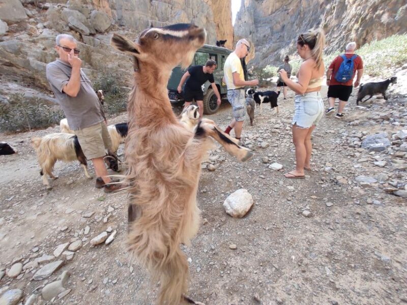 Crete: Trypiti Beach Off-Road South Tour w/ Lunch & Wine - Who Will Love This Tour?