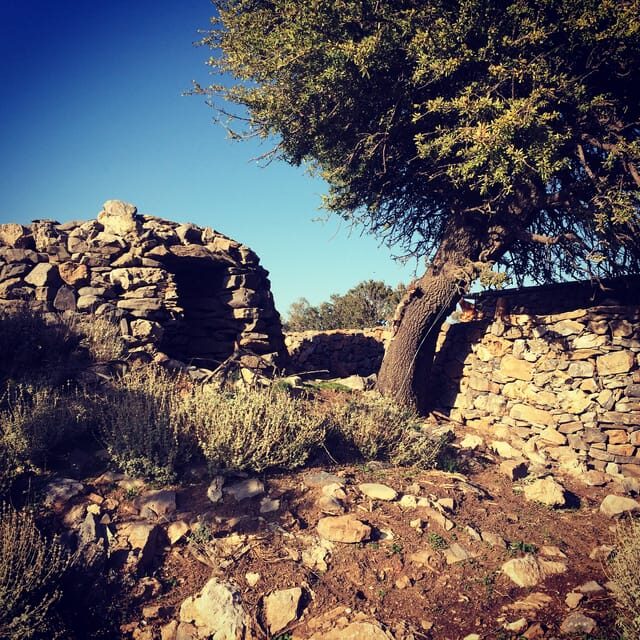 Crete: White Mountains Preserve Day Tour - Key Points