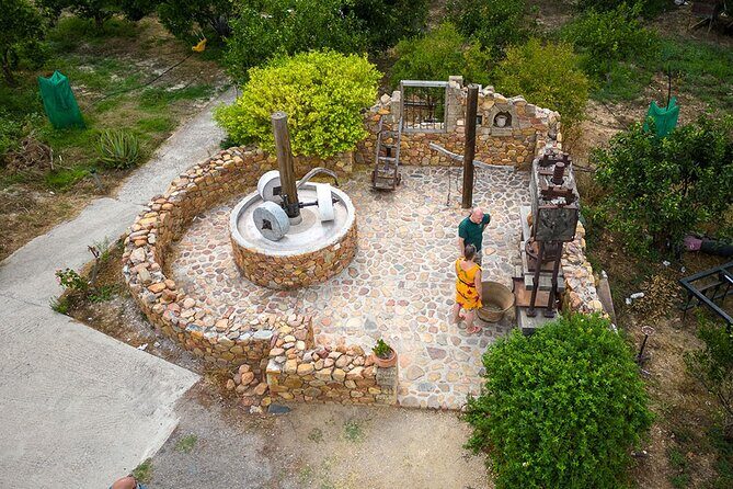 Crete Wine and Olive Oil Tour - A Closer Look at the Experience