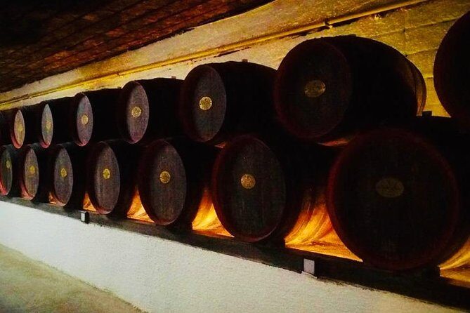 Cricova & Milestii Mici Wineries - What Makes This Tour Special?