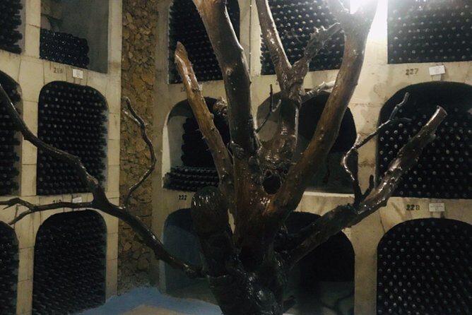 Cricova & Milestii Mici Wineries - Practical Tips for Your Visit