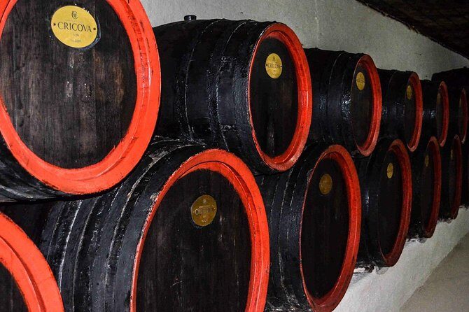 Cricova & Milestii Mici Wineries - Who Is This Tour Best For?