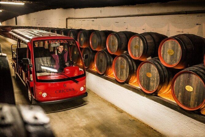 CRICOVA Winery tour with tasting from Chisinau - What to Expect from the Cricova Winery Tour