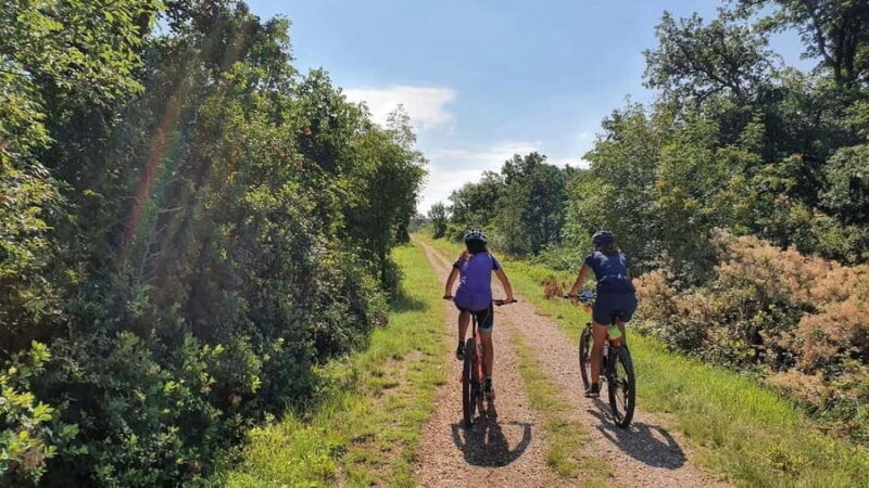 Croatia, Istria: 7-Day Premium Cycling & Gourmet E-Bike Tour - Why This Tour Might Be a Great Choice
