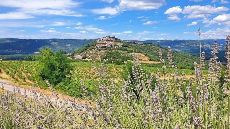 Croatia, Istria: 7-Day Premium Cycling & Gourmet E-Bike Tour - What’s Included and What’s Not?