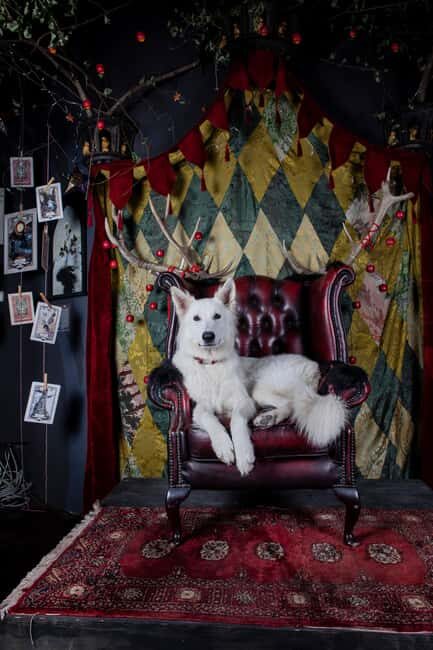 Croatia: Museum of Lost Tales - The Experience: Interactive, Involving, and Immersive