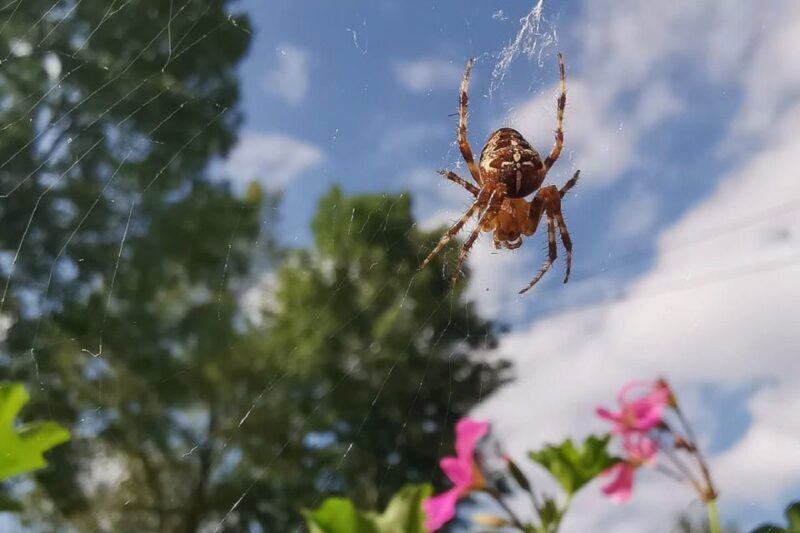 Croatia: Plitvice Lakes Private Tour with Hotel Pickup - What to Expect from the Tour