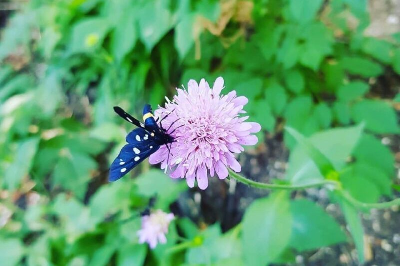 Croatia: Plitvice Lakes Private Tour with Hotel Pickup - Final Thoughts