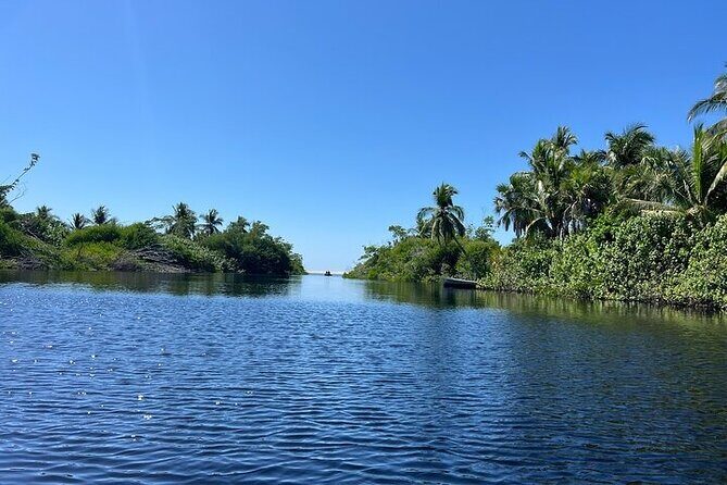 Crocodiles and Turtles Ecological Tour - Practical Details and Tips
