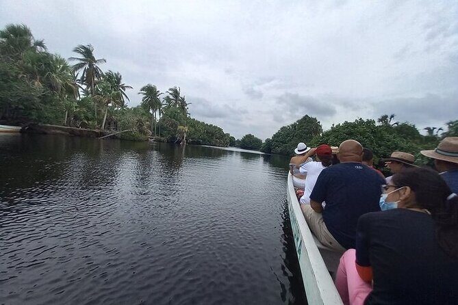 Crocodiles and Turtles Ecological Tour - Final Thoughts