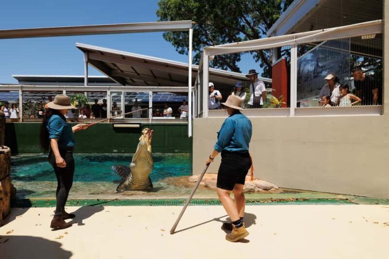 Crocosaurus Cove General Admission Ticket - What Is Crocosaurus Cove All About?