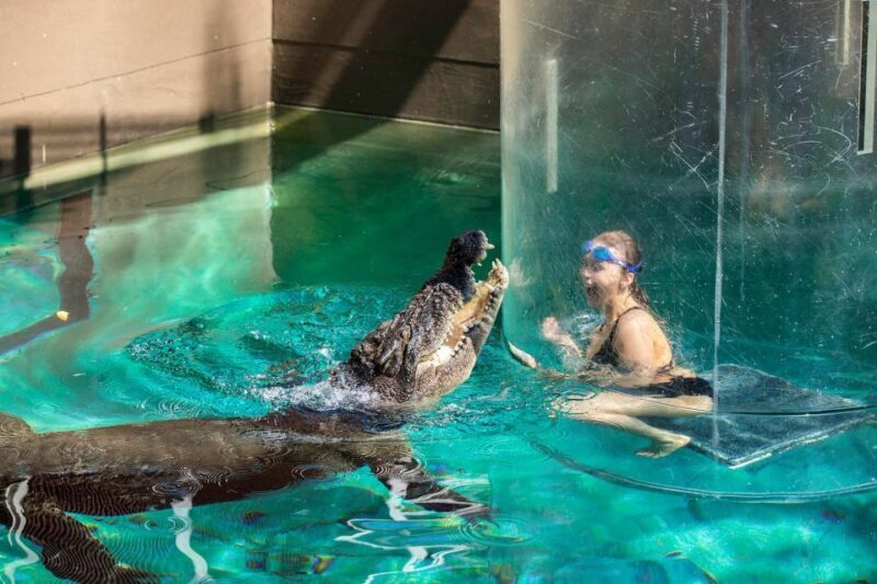 Crocosaurus Cove General Admission Ticket - Pricing and Value