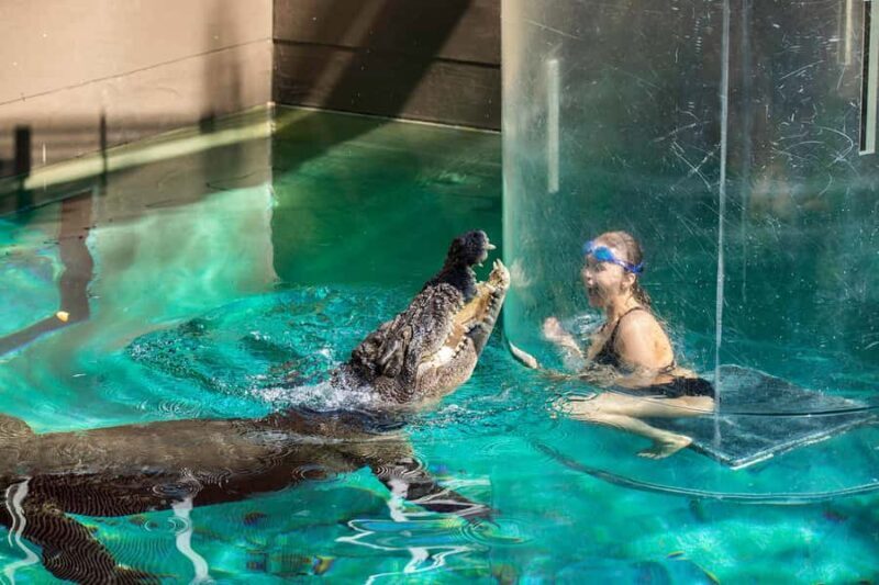 Crocosaurus Cove General Admission Ticket - The Sum Up